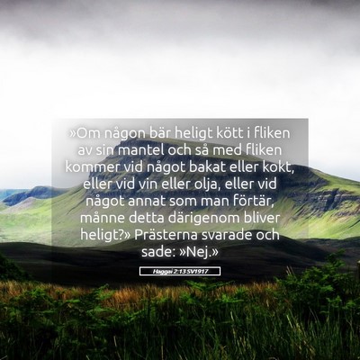 Picture 05 - Haggai 2:13 SV1917 - »Om någon bär heligt kött i fliken av sin - Bible Verse Picture