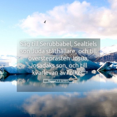 Picture 05 - Haggai 2:3 SV1917 - Säg till Serubbabel, Sealtiels son Juda - Bible Verse Picture