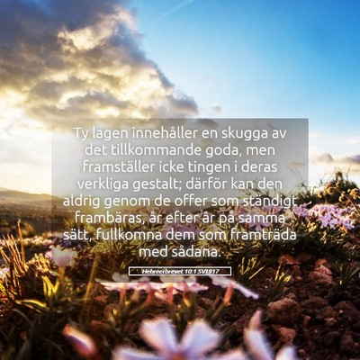 Picture 05 - Hebreerbrevet 10:1 SV1917 - Ty lagen innehåller en skugga av det - Bible Verse Picture