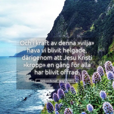 Picture 05 - Hebreerbrevet 10:10 SV1917 - Och i kraft av denna »vilja» hava vi blivit - Bible Verse Picture