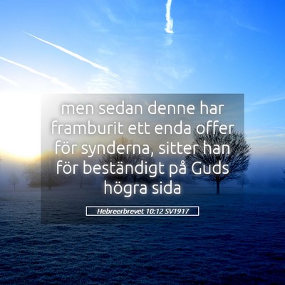 Picture 05 - Hebreerbrevet 10:12 SV1917 - men sedan denne har framburit ett enda offer för - Bible Verse Picture
