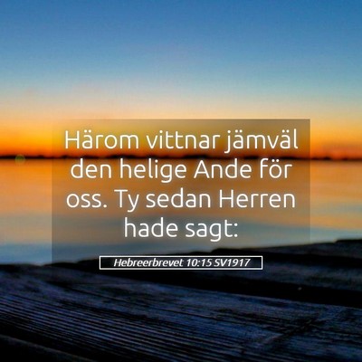 Picture 05 - Hebreerbrevet 10:15 SV1917 - Härom vittnar jämväl den helige Ande för oss. - Bible Verse Picture
