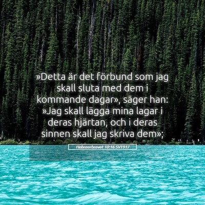 Picture 05 - Hebreerbrevet 10:16 SV1917 - »Detta är det förbund som jag skall sluta med - Bible Verse Picture