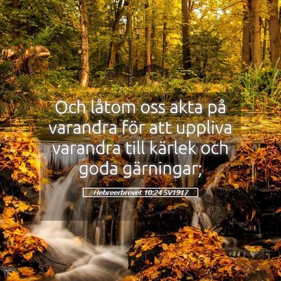 Picture 05 - Hebreerbrevet 10:24 SV1917 - Och låtom oss akta på varandra för att uppliva - Bible Verse Picture