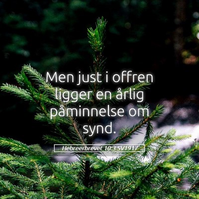 Picture 05 - Hebreerbrevet 10:3 SV1917 - Men just i offren ligger en årlig påminnelse om - Bible Verse Picture
