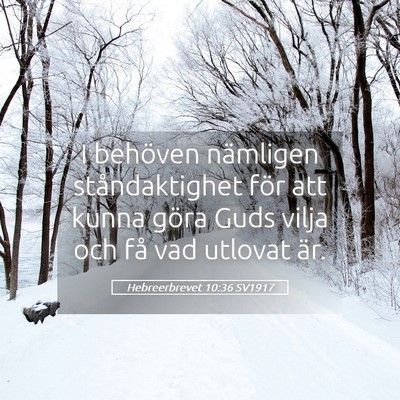 Picture 05 - Hebreerbrevet 10:36 SV1917 - I behöven nämligen ståndaktighet för att - Bible Verse Picture