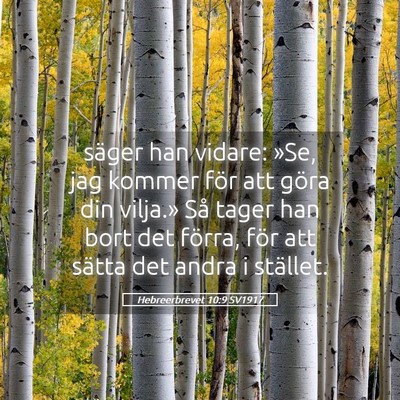 Picture 05 - Hebreerbrevet 10:9 SV1917 - säger han vidare: »Se, jag kommer för att - Bible Verse Picture