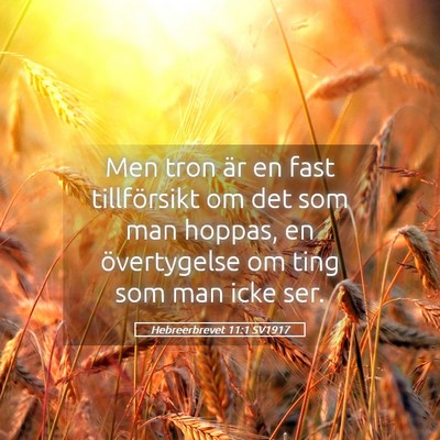 Picture 05 - Hebreerbrevet 11:1 SV1917 - Men tron är en fast tillförsikt om det som man - Bible Verse Picture