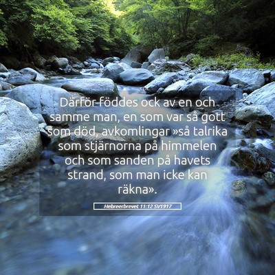 Picture 05 - Hebreerbrevet 11:12 SV1917 - Därför föddes ock av en och samme man, en som - Bible Verse Picture