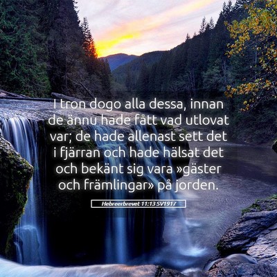 Picture 05 - Hebreerbrevet 11:13 SV1917 - I tron dogo alla dessa, innan de ännu hade fått - Bible Verse Picture