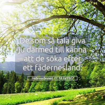 Picture 05 - Hebreerbrevet 11:14 SV1917 - De som så tala giva ju därmed till känna att - Bible Verse Picture