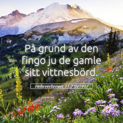 Picture 05 - Hebreerbrevet 11:2 SV1917 - På grund av den fingo ju de gamle sitt - Bible Verse Picture