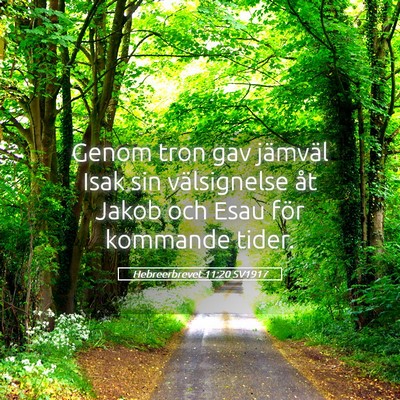 Picture 05 - Hebreerbrevet 11:20 SV1917 - Genom tron gav jämväl Isak sin välsignelse åt - Bible Verse Picture