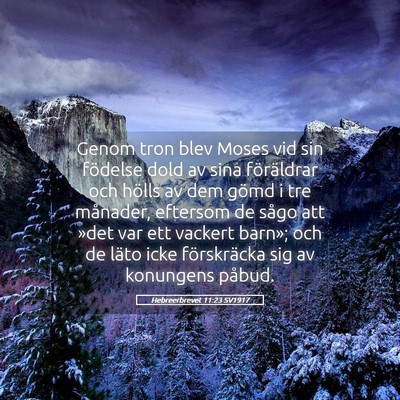 Picture 05 - Hebreerbrevet 11:23 SV1917 - Genom tron blev Moses vid sin födelse dold av - Bible Verse Picture