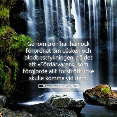 Picture 05 - Hebreerbrevet 11:28 SV1917 - Genom tron har han ock förordnat om påsken och - Bible Verse Picture