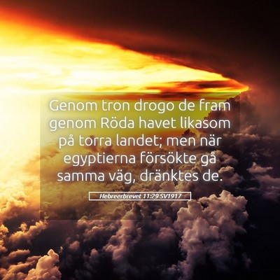 Picture 05 - Hebreerbrevet 11:29 SV1917 - Genom tron drogo de fram genom Röda havet - Bible Verse Picture