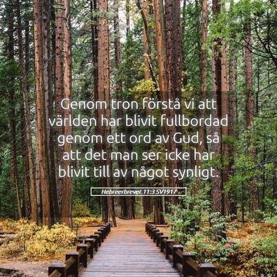 Picture 05 - Hebreerbrevet 11:3 SV1917 - Genom tron förstå vi att världen har blivit - Bible Verse Picture