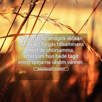 Picture 05 - Hebreerbrevet 11:31 SV1917 - Genom tron undgick skökan Rahab att förgås - Bible Verse Picture