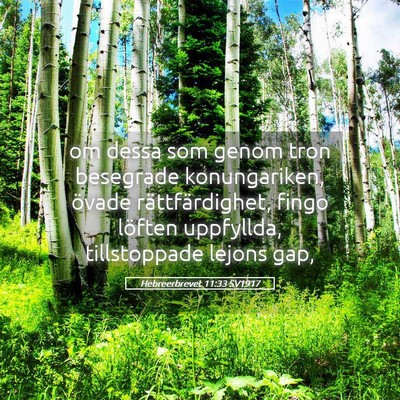 Picture 05 - Hebreerbrevet 11:33 SV1917 - om dessa som genom tron besegrade konungariken, - Bible Verse Picture