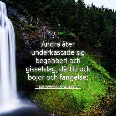 Picture 05 - Hebreerbrevet 11:36 SV1917 - Andra åter underkastade sig begabberi och - Bible Verse Picture