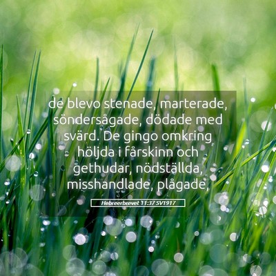Picture 05 - Hebreerbrevet 11:37 SV1917 - de blevo stenade, marterade, söndersågade, - Bible Verse Picture