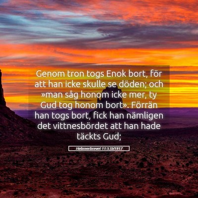 Picture 05 - Hebreerbrevet 11:5 SV1917 - Genom tron togs Enok bort, för att han icke - Bible Verse Picture