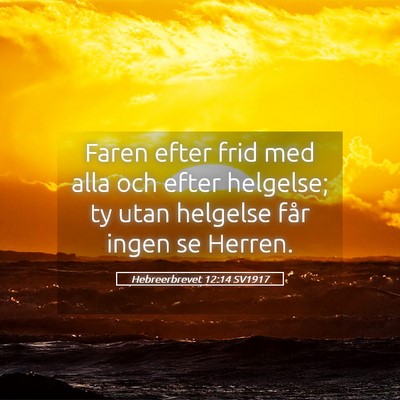 Picture 05 - Hebreerbrevet 12:14 SV1917 - Faren efter frid med alla och efter helgelse; ty - Bible Verse Picture