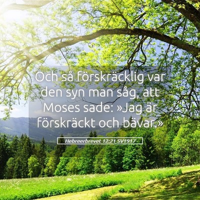 Picture 05 - Hebreerbrevet 12:21 SV1917 - Och så förskräcklig var den syn man såg, att - Bible Verse Picture