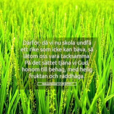 Picture 05 - Hebreerbrevet 12:28 SV1917 - Därför, då vi nu skola undfå ett rike som - Bible Verse Picture