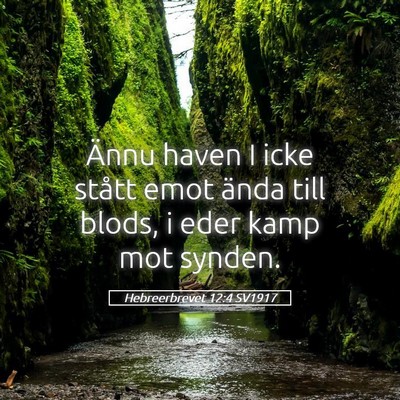 Picture 05 - Hebreerbrevet 12:4 SV1917 - Ännu haven I icke stått emot ända till blods, - Bible Verse Picture