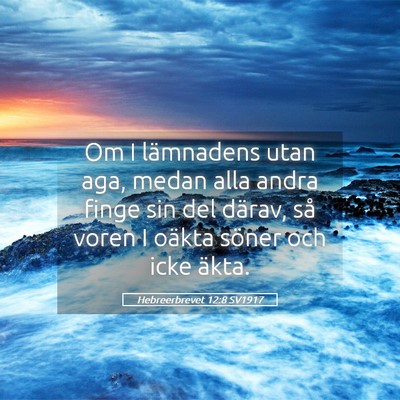 Picture 05 - Hebreerbrevet 12:8 SV1917 - Om I lämnadens utan aga, medan alla andra finge - Bible Verse Picture