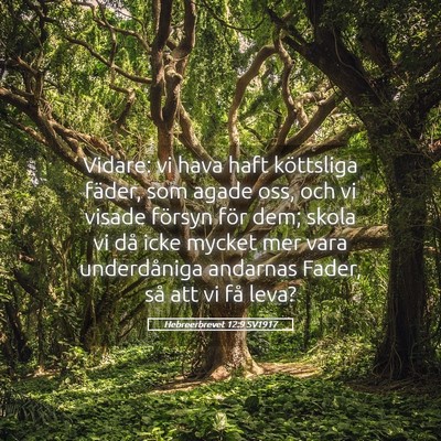 Picture 05 - Hebreerbrevet 12:9 SV1917 - Vidare: vi hava haft köttsliga fäder, som agade - Bible Verse Picture