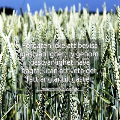 Picture 05 - Hebreerbrevet 13:2 SV1917 - Förgäten icke att bevisa gästvänlighet; ty - Bible Verse Picture