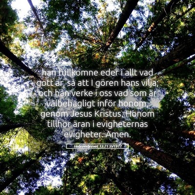 Picture 05 - Hebreerbrevet 13:21 SV1917 - han fullkomne eder i allt vad gott är, så att I - Bible Verse Picture