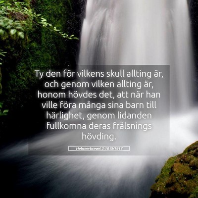 Picture 05 - Hebreerbrevet 2:10 SV1917 - Ty den för vilkens skull allting är, och genom - Bible Verse Picture