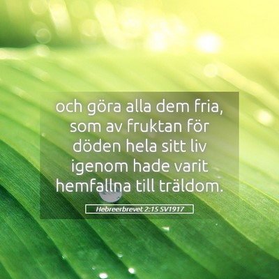 Picture 05 - Hebreerbrevet 2:15 SV1917 - och göra alla dem fria, som av fruktan för - Bible Verse Picture