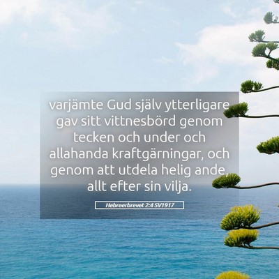 Picture 05 - Hebreerbrevet 2:4 SV1917 - varjämte Gud själv ytterligare gav sitt - Bible Verse Picture