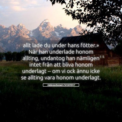 Picture 05 - Hebreerbrevet 2:8 SV1917 - allt lade du under hans fötter.» När han - Bible Verse Picture