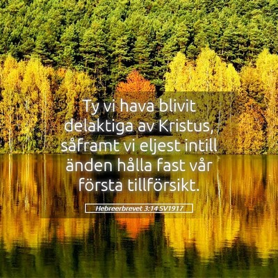 Picture 05 - Hebreerbrevet 3:14 SV1917 - Ty vi hava blivit delaktiga av Kristus, såframt - Bible Verse Picture