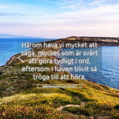 Picture 05 - Hebreerbrevet 5:11 SV1917 - Härom hava vi mycket att säga, mycket som är - Bible Verse Picture