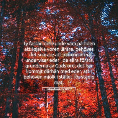 Picture 05 - Hebreerbrevet 5:12 SV1917 - Ty fastän det kunde vara på tiden att I själva - Bible Verse Picture