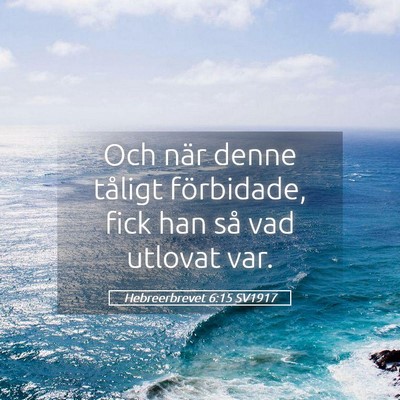 Picture 05 - Hebreerbrevet 6:15 SV1917 - Och när denne tåligt förbidade, fick han så - Bible Verse Picture