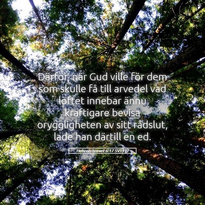 Picture 05 - Hebreerbrevet 6:17 SV1917 - Därför, när Gud ville för dem som skulle få - Bible Verse Picture