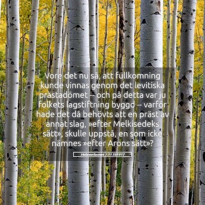 Picture 05 - Hebreerbrevet 7:11 SV1917 - Vore det nu så, att fullkomning kunde vinnas - Bible Verse Picture