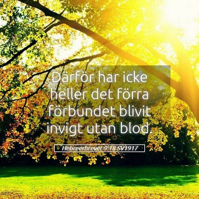 Picture 05 - Hebreerbrevet 9:18 SV1917 - Därför har icke heller det förra förbundet - Bible Verse Picture