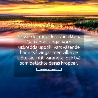 Picture 05 - Hesekiel 1:11 SV1917 - Så var det med deras ansikten. Och deras vingar - Bible Verse Picture