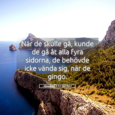 Picture 05 - Hesekiel 1:17 SV1917 - När de skulle gå, kunde de gå åt alla fyra - Bible Verse Picture