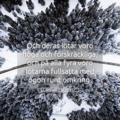 Picture 05 - Hesekiel 1:18 SV1917 - Och deras lötar voro höga och förskräckliga, - Bible Verse Picture