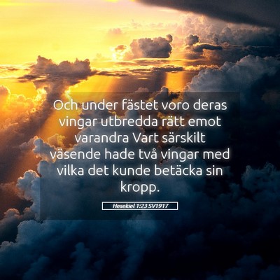 Picture 05 - Hesekiel 1:23 SV1917 - Och under fästet voro deras vingar utbredda - Bible Verse Picture