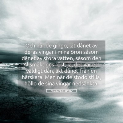 Picture 05 - Hesekiel 1:24 SV1917 - Och när de gingo, lät dånet av deras vingar i - Bible Verse Picture